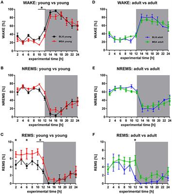 Distinct Parameters in the EEG of the PLP α-SYN Mouse Model for Multiple System Atrophy Reinforce Face Validity